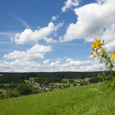 Wellnesshotel Hohenrodt فندق Loßburg