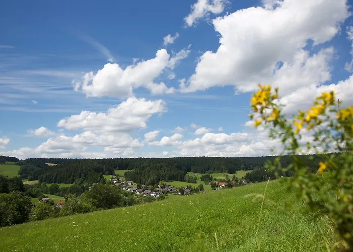 Wellnesshotel Hohenrodt Hotel Loßburg